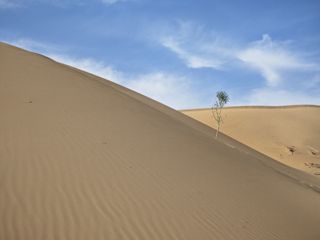 庫(kù)布齊沙漠 庫(kù)布齊沙漠